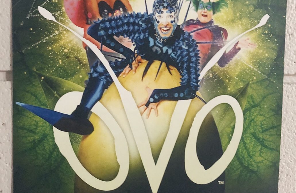 The Ultimate Date Night with Cirque Du Soleil OVO