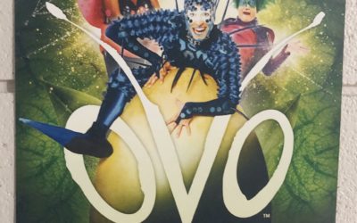 The Ultimate Date Night with Cirque Du Soleil OVO