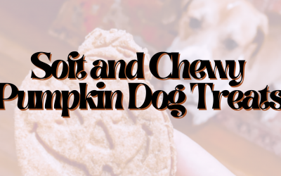 Soft and Chewy Pumpkin Dog Treats