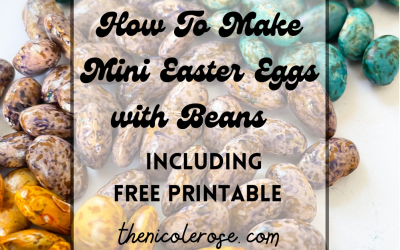 How Make Mini Easter Eggs with Beans
